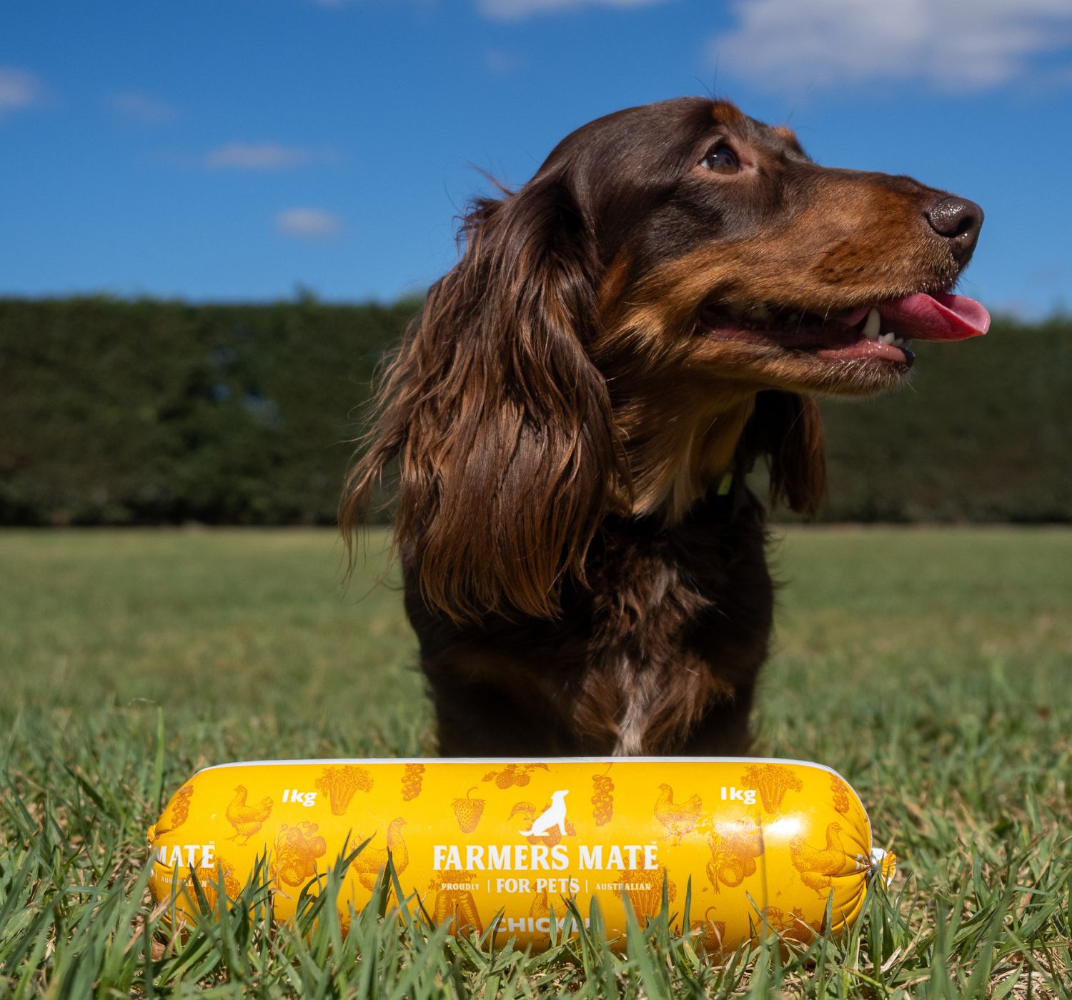 Farmers Mate for Pets 1500x1400 Chicken roll Dachshund