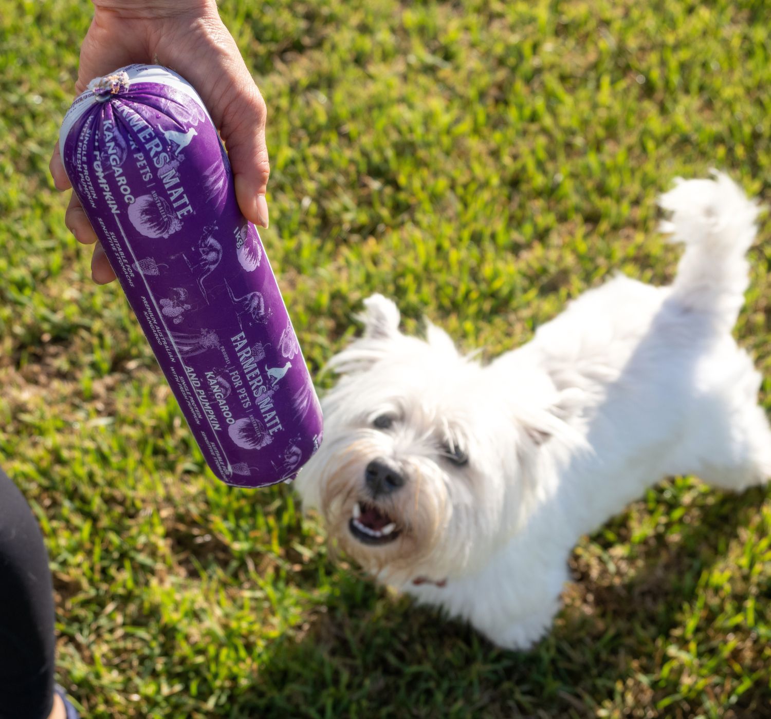 Farmers Mate for Pets 1500x1400 Kangaroo Roll Westie