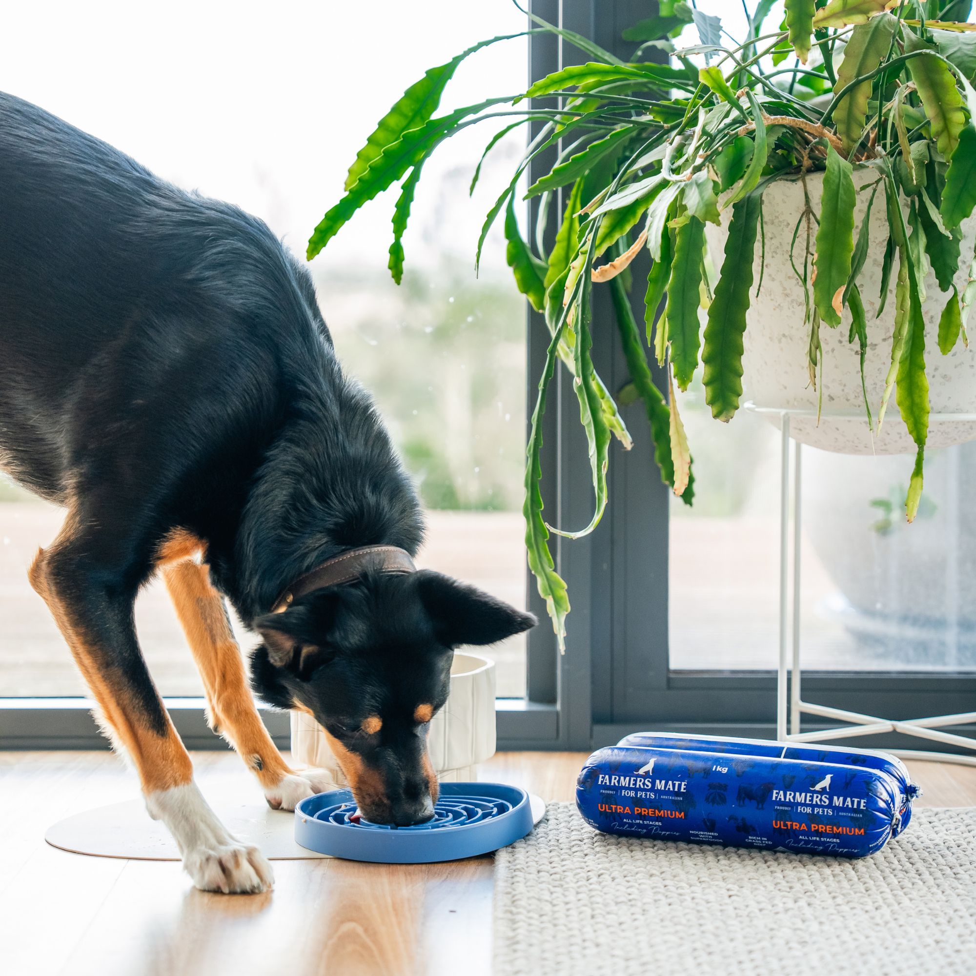 Farmers Mate for Pets 2000x2000 Ultra Premium Lick Mat