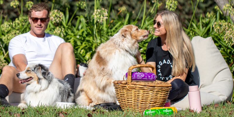 Farmers Mate for Pets Lifestyle 800 x 400 px