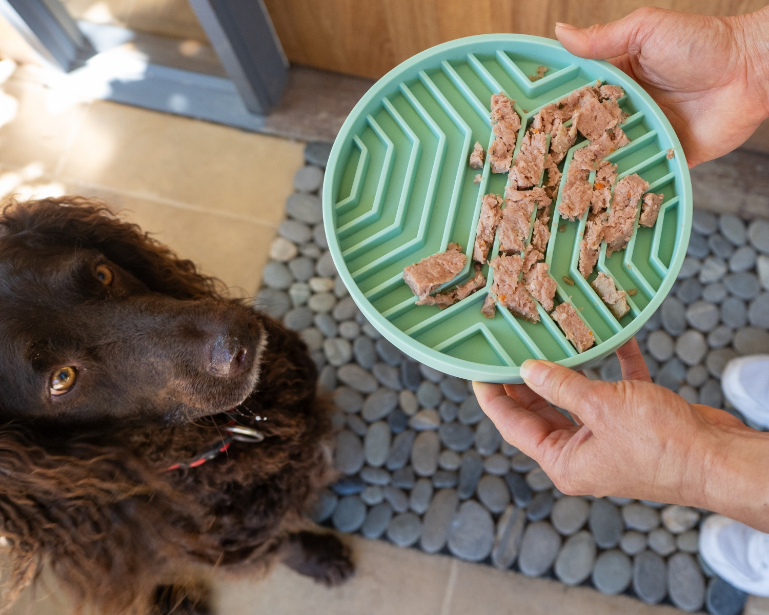 Farmers Mate for Pets 1500x1200 Website Bacci